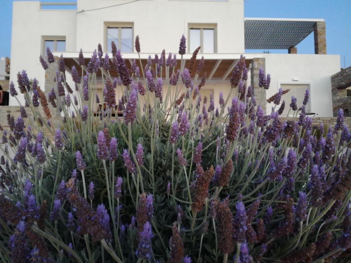 Nesaea Seafront House Villa Parasporos Екстериор снимка
